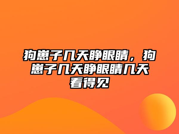 狗崽子幾天睜眼睛，狗崽子幾天睜眼睛幾天看得見