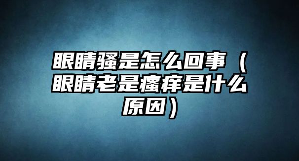 眼睛騷是怎么回事（眼睛老是瘙癢是什么原因）