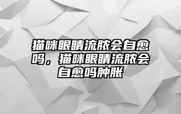 貓咪眼睛流膿會自愈嗎，貓咪眼睛流膿會自愈嗎腫脹