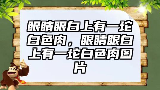 眼睛眼白上有一坨白色肉，眼睛眼白上有一坨白色肉圖片