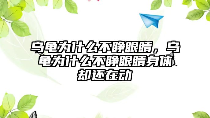 烏龜為什么不睜眼睛，烏龜為什么不睜眼睛身體卻還在動