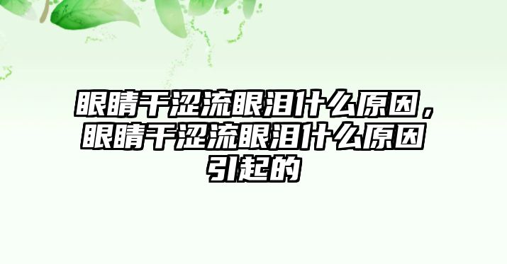 眼睛干澀流眼淚什么原因，眼睛干澀流眼淚什么原因引起的