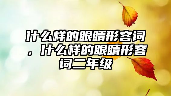 什么樣的眼睛形容詞，什么樣的眼睛形容詞二年級