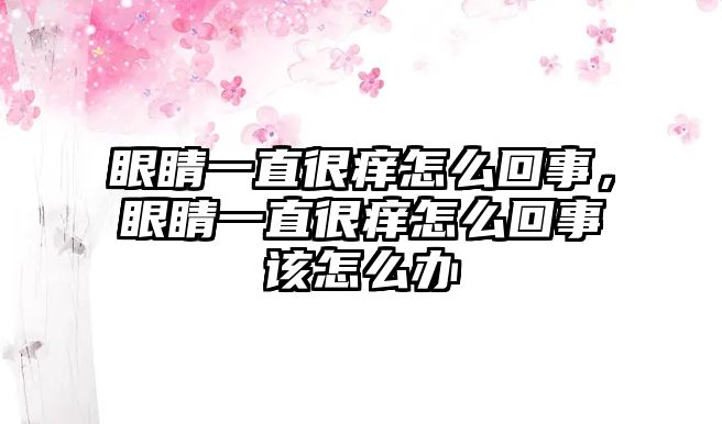 眼睛一直很癢怎么回事，眼睛一直很癢怎么回事該怎么辦