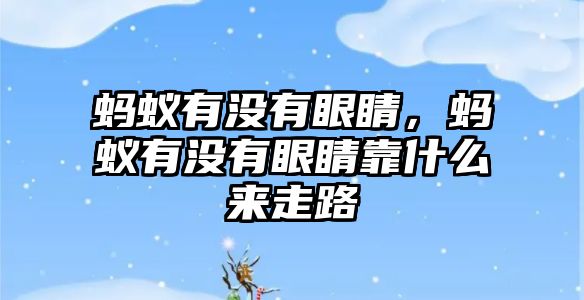 螞蟻有沒有眼睛，螞蟻有沒有眼睛靠什么來走路