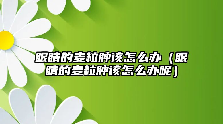 眼睛的麥粒腫該怎么辦（眼睛的麥粒腫該怎么辦呢）