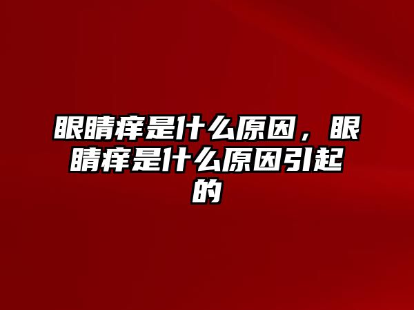 眼睛癢是什么原因，眼睛癢是什么原因引起的