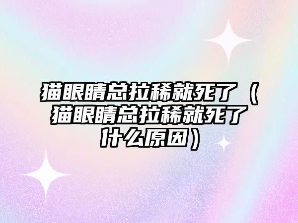 貓眼睛總拉稀就死了（貓眼睛總拉稀就死了什么原因）