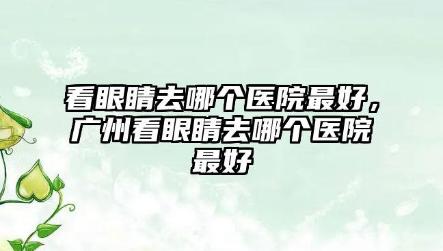 看眼睛去哪個醫(yī)院最好，廣州看眼睛去哪個醫(yī)院最好