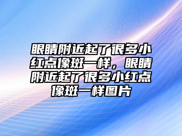 眼睛附近起了很多小紅點像斑一樣，眼睛附近起了很多小紅點像斑一樣圖片