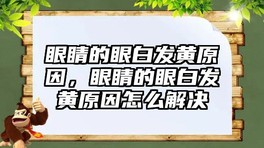 眼睛的眼白發(fā)黃原因，眼睛的眼白發(fā)黃原因怎么解決