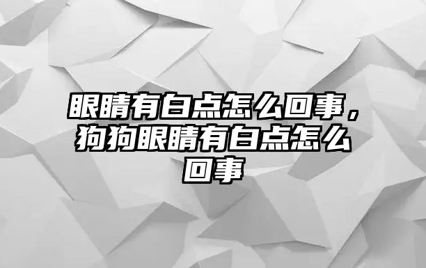 眼睛有白點怎么回事，狗狗眼睛有白點怎么回事