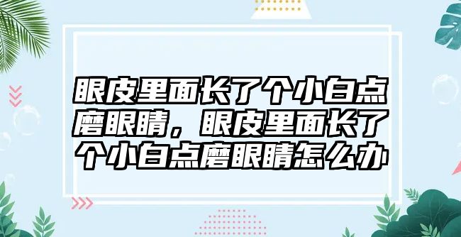 眼皮里面長了個小白點磨眼睛，眼皮里面長了個小白點磨眼睛怎么辦