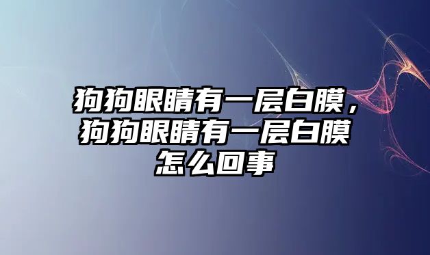 狗狗眼睛有一層白膜，狗狗眼睛有一層白膜怎么回事