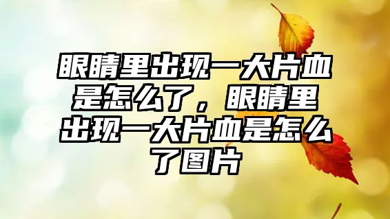 眼睛里出現(xiàn)一大片血是怎么了，眼睛里出現(xiàn)一大片血是怎么了圖片