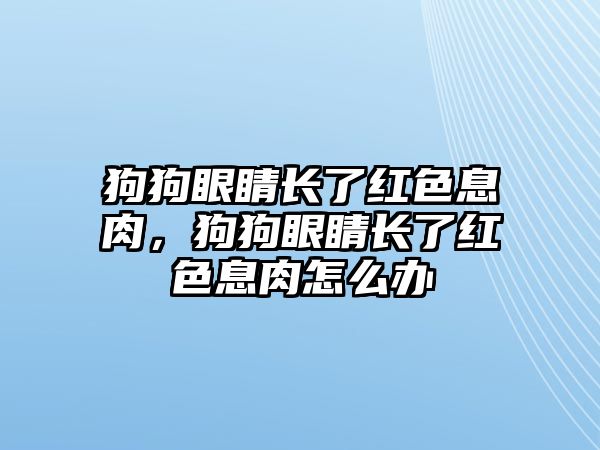 狗狗眼睛長了紅色息肉，狗狗眼睛長了紅色息肉怎么辦