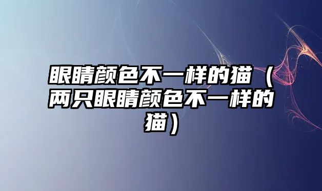 眼睛顏色不一樣的貓（兩只眼睛顏色不一樣的貓）