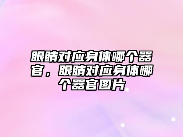 眼睛對應身體哪個器官，眼睛對應身體哪個器官圖片