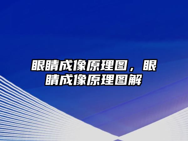 眼睛成像原理圖，眼睛成像原理圖解