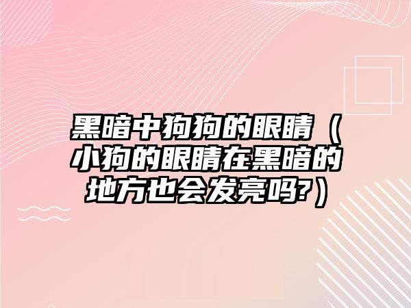 黑暗中狗狗的眼睛（小狗的眼睛在黑暗的地方也會(huì)發(fā)亮嗎?）