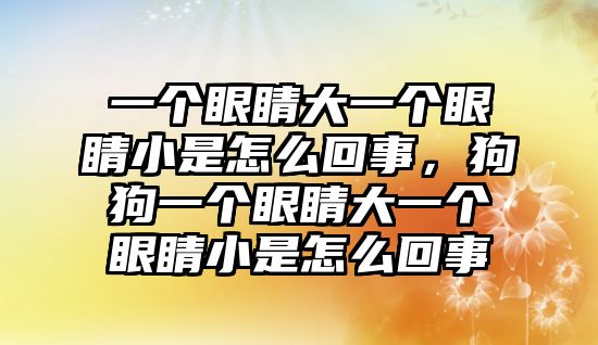 一個眼睛大一個眼睛小是怎么回事，狗狗一個眼睛大一個眼睛小是怎么回事