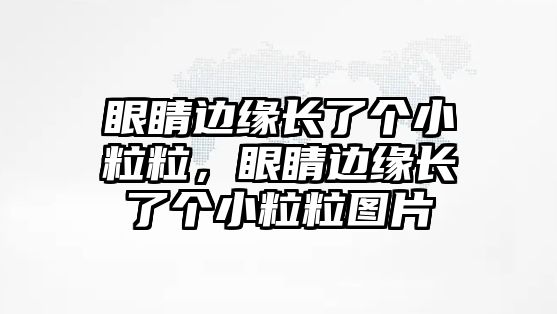 眼睛邊緣長了個小粒粒，眼睛邊緣長了個小粒粒圖片