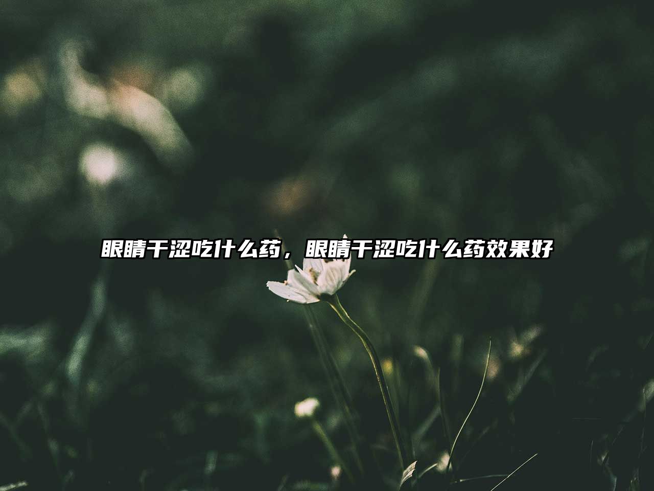 眼睛干澀吃什么藥，眼睛干澀吃什么藥效果好