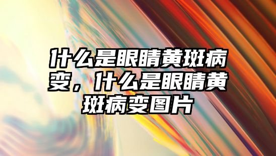 什么是眼睛黃斑病變，什么是眼睛黃斑病變圖片