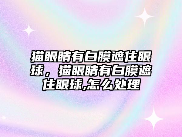 貓眼睛有白膜遮住眼球，貓眼睛有白膜遮住眼球,怎么處理