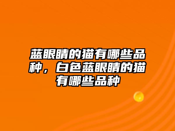 藍眼睛的貓有哪些品種，白色藍眼睛的貓有哪些品種