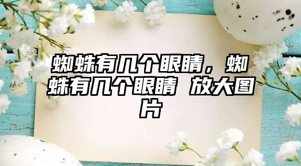 蜘蛛有幾個眼睛，蜘蛛有幾個眼睛 放大圖片