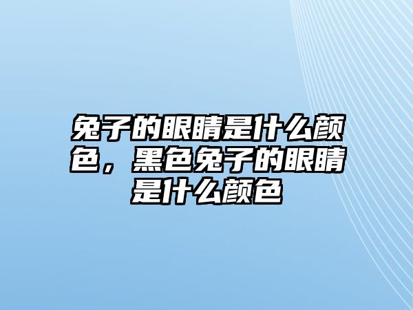 兔子的眼睛是什么顏色，黑色兔子的眼睛是什么顏色