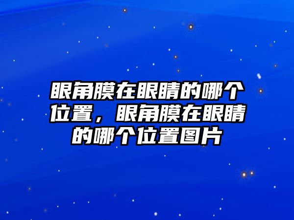 眼角膜在眼睛的哪個位置，眼角膜在眼睛的哪個位置圖片