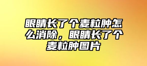 眼睛長了個(gè)麥粒腫怎么消除，眼睛長了個(gè)麥粒腫圖片