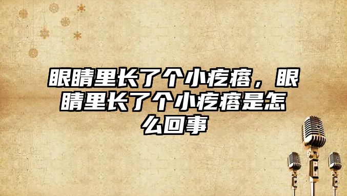 眼睛里長了個小疙瘩，眼睛里長了個小疙瘩是怎么回事