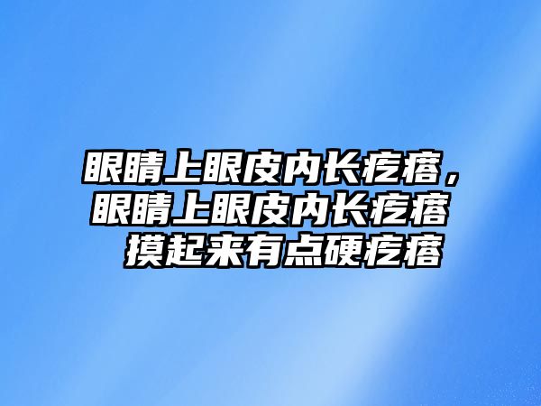 眼睛上眼皮內長疙瘩，眼睛上眼皮內長疙瘩 摸起來有點硬疙瘩