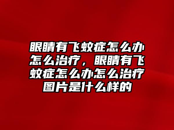 眼睛有飛蚊癥怎么辦怎么治療，眼睛有飛蚊癥怎么辦怎么治療圖片是什么樣的