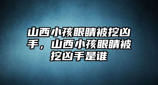 山西小孩眼睛被挖兇手，山西小孩眼睛被挖兇手是誰