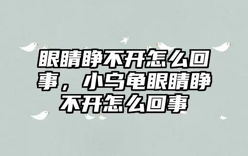 眼睛睜不開怎么回事，小烏龜眼睛睜不開怎么回事