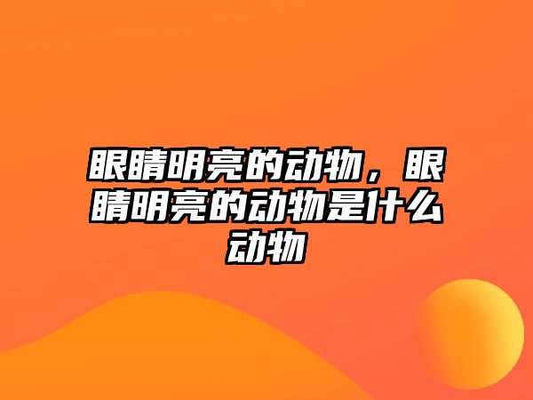 眼睛明亮的動物，眼睛明亮的動物是什么動物