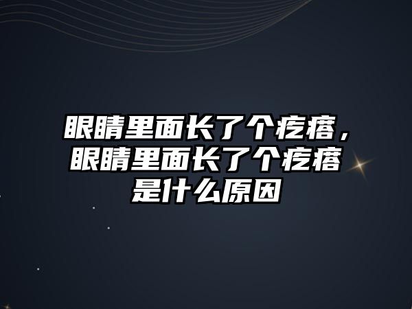 眼睛里面長了個疙瘩，眼睛里面長了個疙瘩是什么原因