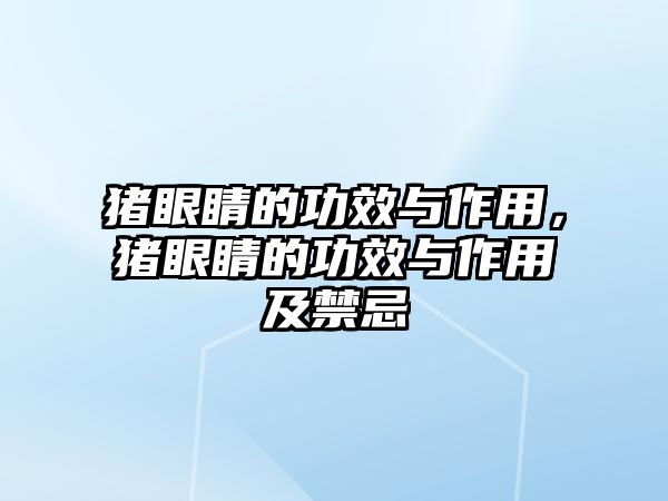 豬眼睛的功效與作用，豬眼睛的功效與作用及禁忌