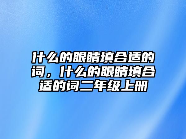 什么的眼睛填合適的詞，什么的眼睛填合適的詞二年級上冊