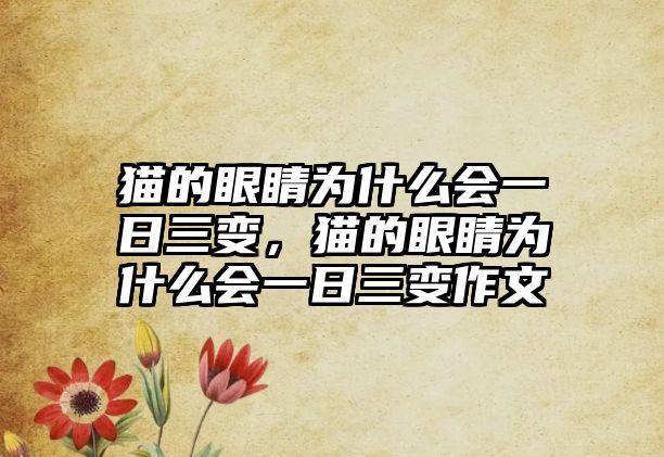 貓的眼睛為什么會(huì)一日三變，貓的眼睛為什么會(huì)一日三變作文