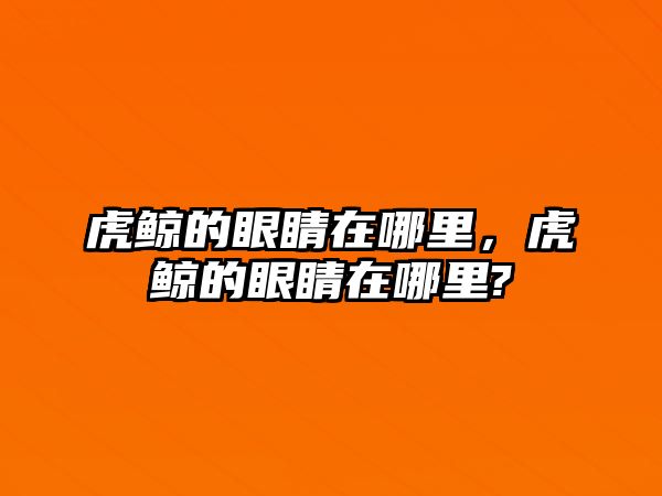 虎鯨的眼睛在哪里，虎鯨的眼睛在哪里?