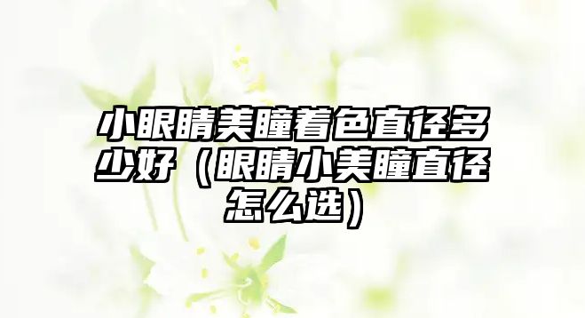 小眼睛美瞳著色直徑多少好（眼睛小美瞳直徑怎么選）