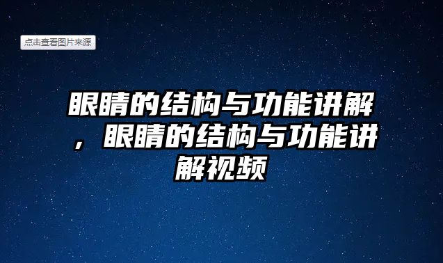 眼睛的結構與功能講解，眼睛的結構與功能講解視頻