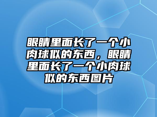 眼睛里面長了一個小肉球似的東西，眼睛里面長了一個小肉球似的東西圖片