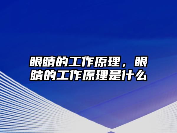 眼睛的工作原理，眼睛的工作原理是什么