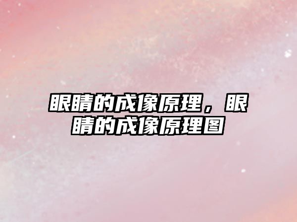 眼睛的成像原理，眼睛的成像原理圖